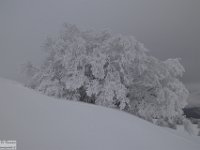 2018-01-13 M. Orsello 320